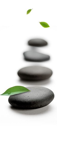 山東普華項(xiàng)目管理有限公司